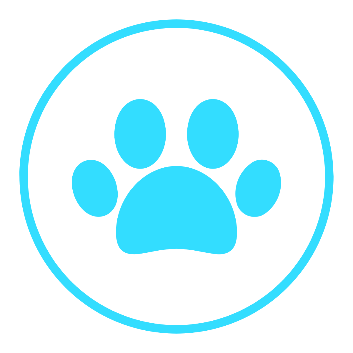 Katzenchecks
